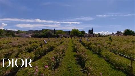 dior grasse|Grasse at the heart of Dior Fragrances – Film 360° .